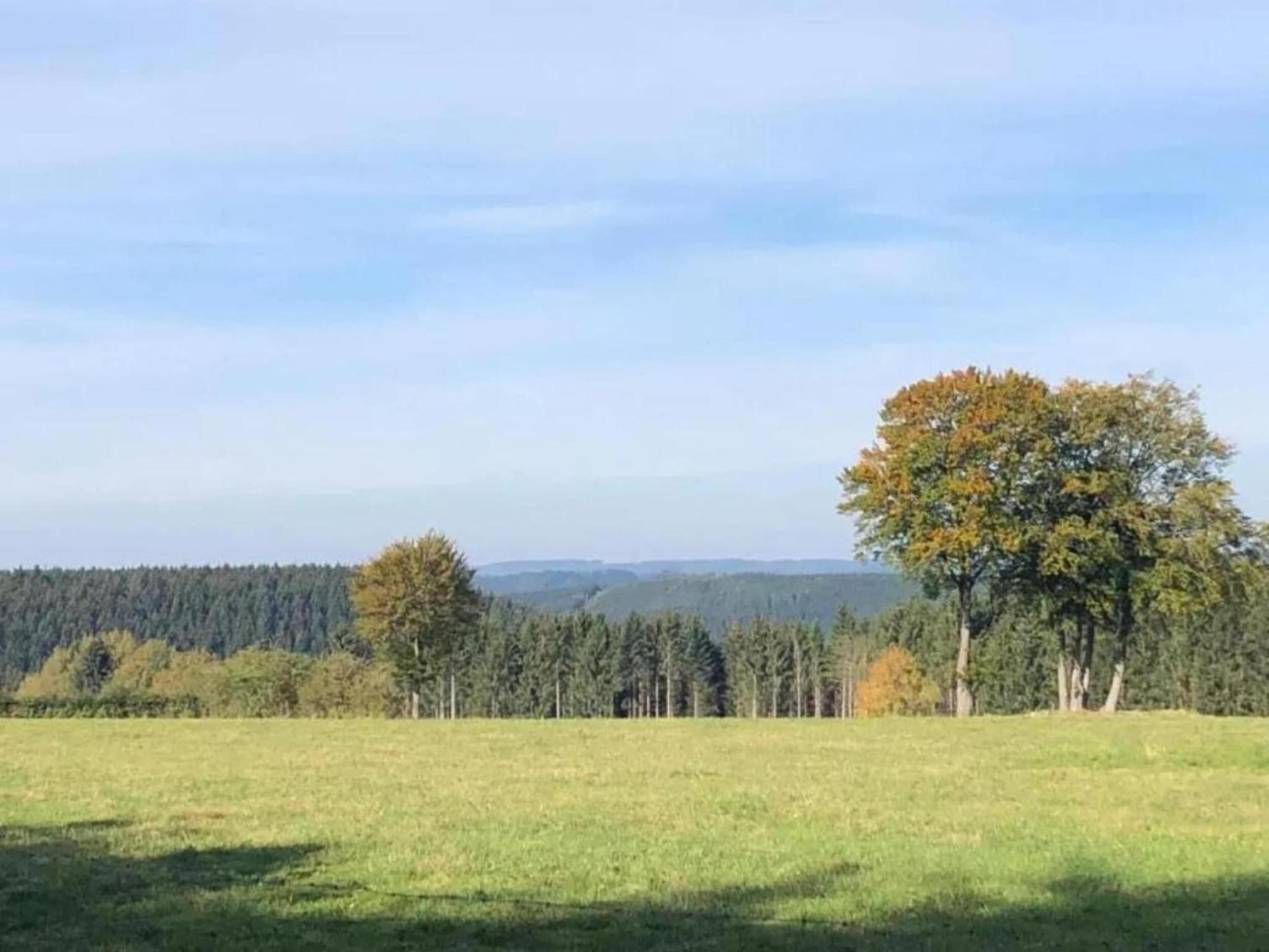 Holiday Home Ardennes Blue In Theux Near Spa La Reid Екстер'єр фото